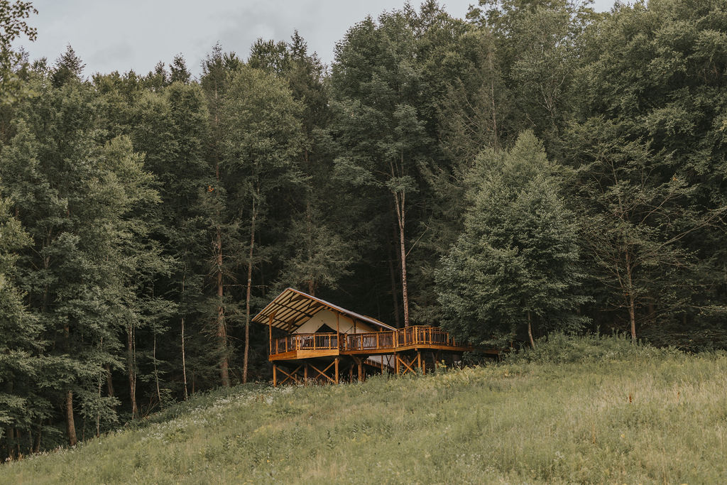 South Camp safari tent set in a clearing on 160 wooded acres