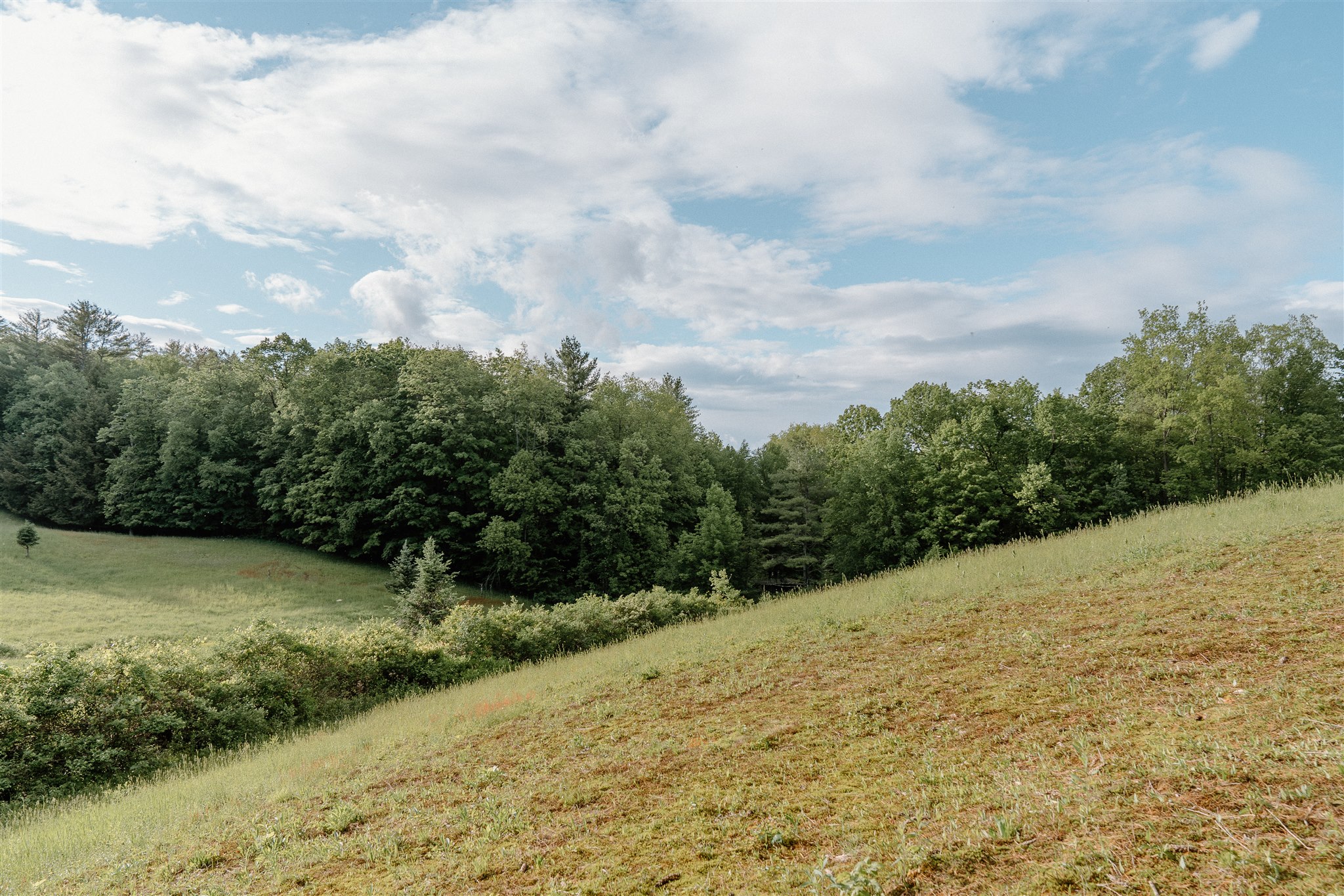 Ceremony in the meadow