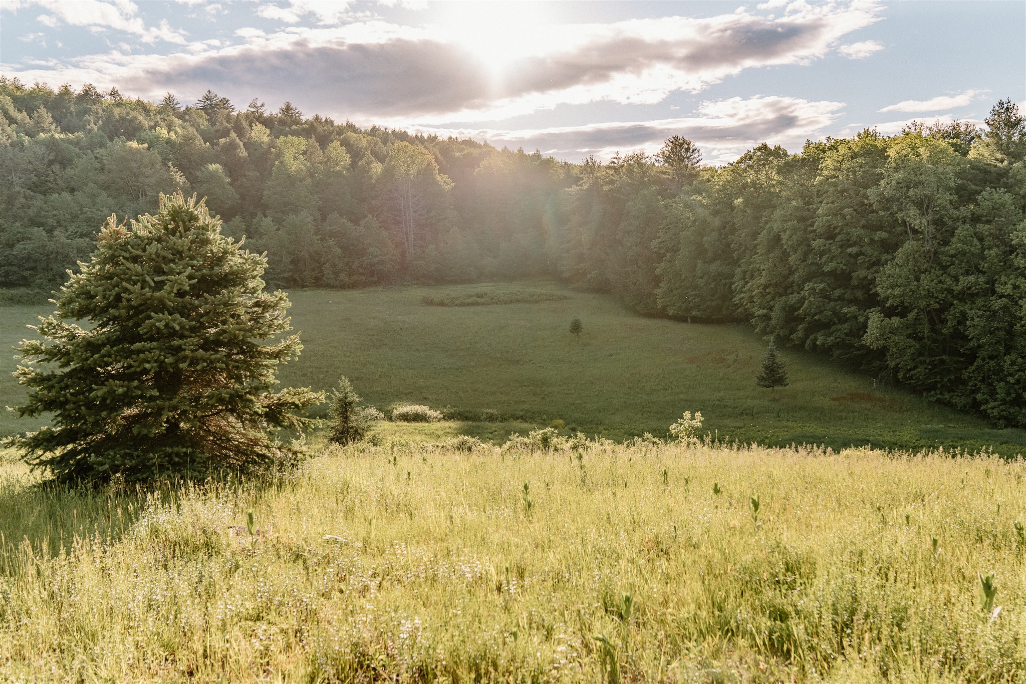 Celebration after ceremony